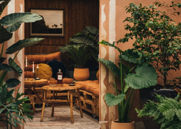 Un rooftop cubain en plein cœur de Montmartre avec la Terraza Eminente