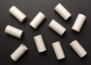 Ne jetez plus vos rouleaux de papier toilette : 5 idées ingénieuses pour votre jardin