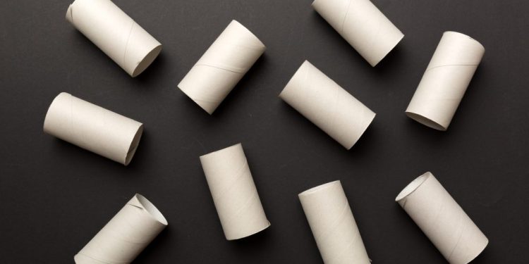 Ne jetez plus vos rouleaux de papier toilette : 5 idées ingénieuses pour votre jardin