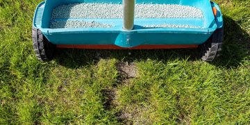 Engrais pour pelouse : quand et comment bien l’appliquer pour un gazon parfait ?