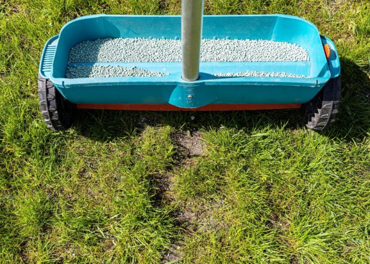 Engrais pour pelouse : quand et comment bien l’appliquer pour un gazon parfait ?
