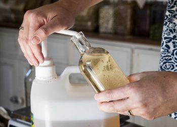 Vinaigre blanc au jardin : l’astuce naturelle aux multiples usages