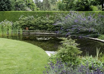 Pourquoi et comment installer un bassin dans votre jardin ?