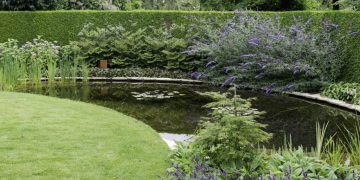 Pourquoi et comment installer un bassin dans votre jardin ?