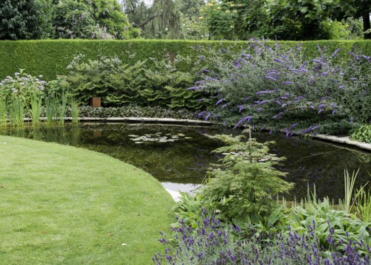 Pourquoi et comment installer un bassin dans votre jardin ?