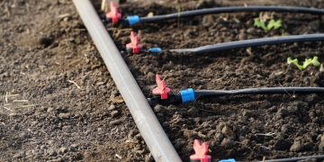 Arrosage goutte à goutte : le guide complet pour un jardin bien hydraté