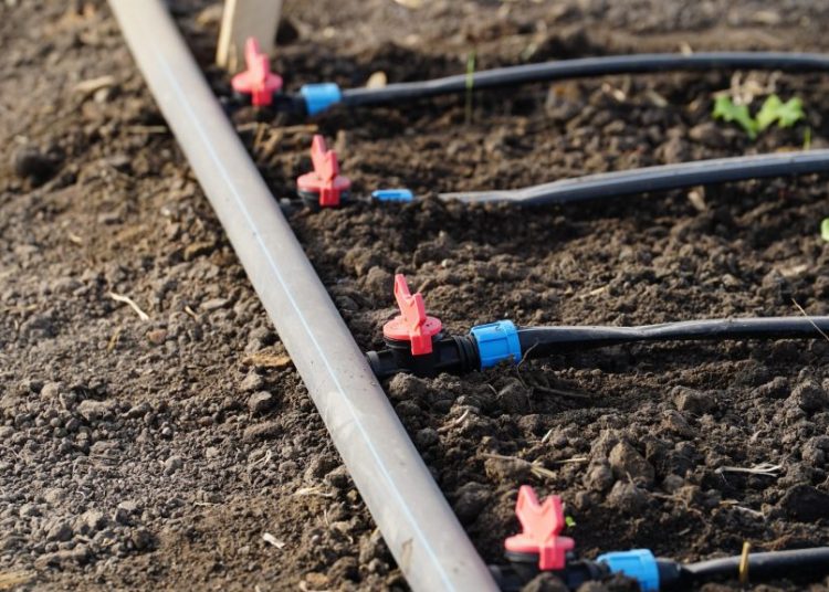 Arrosage goutte à goutte : le guide complet pour un jardin bien hydraté