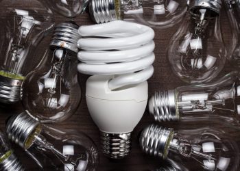 Ampoules économiques : Quel type choisir pour réduire votre facture d’électricité ?
