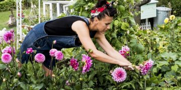 Jardin en Avril : Quoi planter pour un printemps haut en couleurs et en saveurs ?