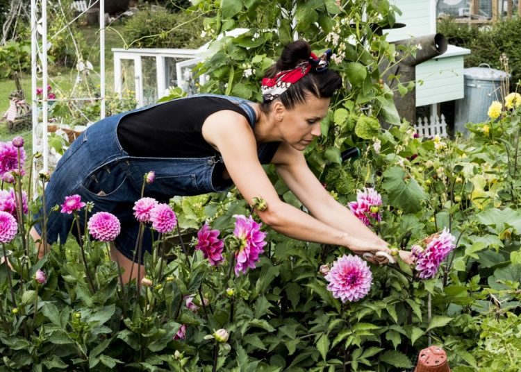 Jardin en Avril : Quoi planter pour un printemps haut en couleurs et en saveurs ?