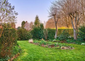 Que planter au mois de mars dans votre jardin ? Les cultures incontournables