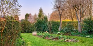 Que planter au mois de mars dans votre jardin ? Les cultures incontournables