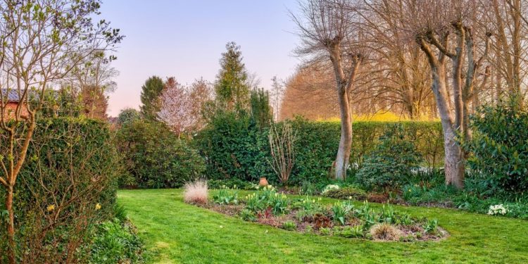 Que planter au mois de mars dans votre jardin ? Les cultures incontournables