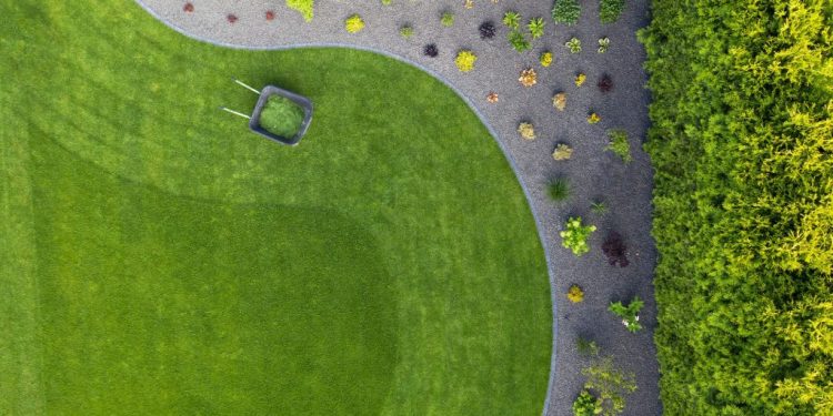 Printemps au jardin : les techniques essentielles pour une pelouse impeccable