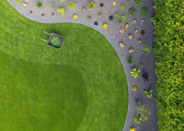 Printemps au jardin : les techniques essentielles pour une pelouse impeccable