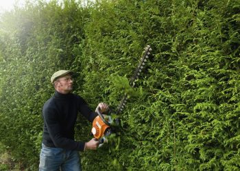 Comment bien tailler ses haies : le guide complet pour un jardin net toute l’année