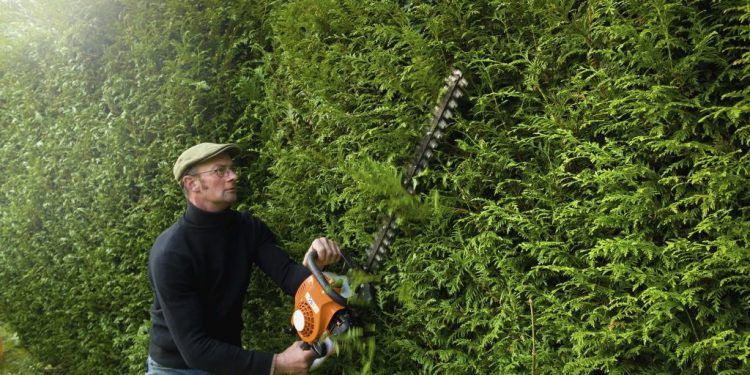 Comment bien tailler ses haies : le guide complet pour un jardin net toute l’année