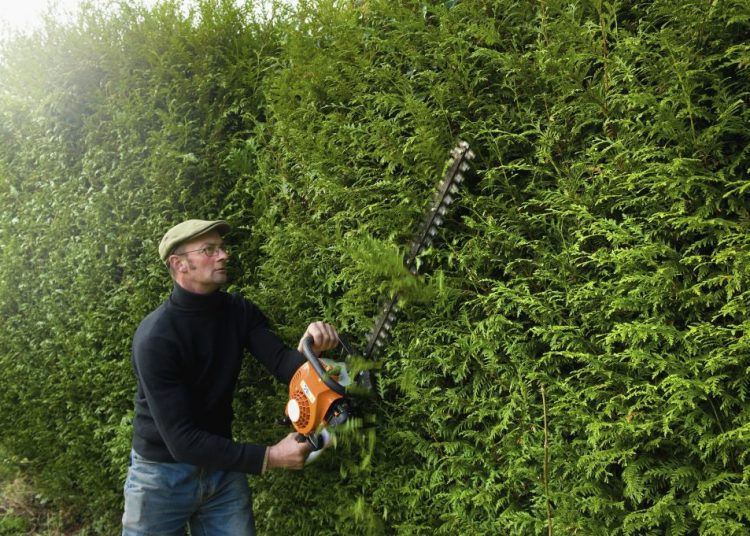 Comment bien tailler ses haies : le guide complet pour un jardin net toute l’année