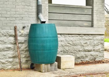 Installer un récupérateur d’eau de pluie : facile, économique et écologique !