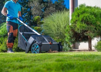 Printemps au jardin : quand et comment tondre sa pelouse pour des résultats parfaits