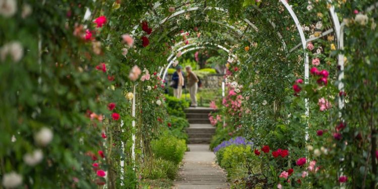Aménager son jardin avec une pergola : conseils, modèles et installation pas à pas