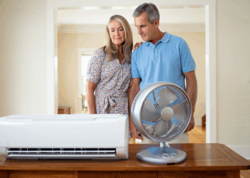 Ventilateurs ou climatiseurs : le guide pour ne pas se tromper face à la chaleur