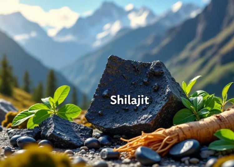 shilajit, c’est quoi réellement ? origine, bienfaits et utilisation en 2025