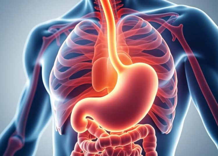 Hernie hiatale : comprendre les symptômes cardiaques associés