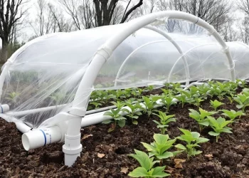 Comment construire une serre tunnel démontable avec des matériaux récupérés : guide complet pour débutants