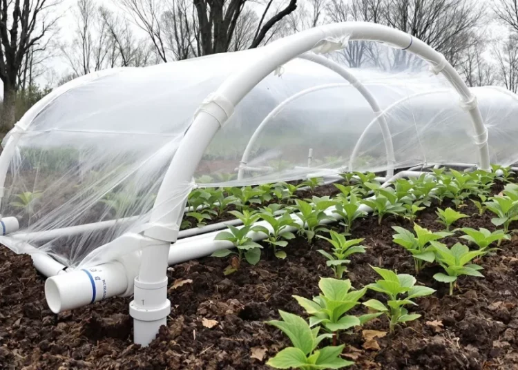 Comment construire une serre tunnel démontable avec des matériaux récupérés : guide complet pour débutants