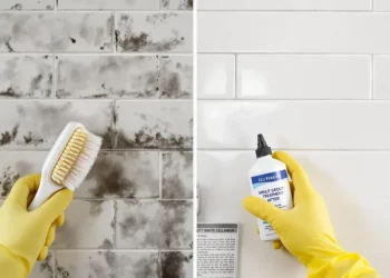 Rénover ses joints de carrelage sans les retirer : 3 techniques efficaces