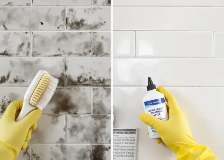 Rénover ses joints de carrelage sans les retirer : 3 techniques efficaces