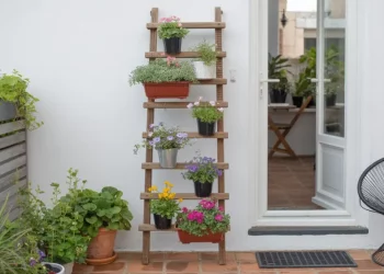 Comment transformer une échelle en bois en présentoir vertical pour plantes