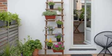 Comment transformer une échelle en bois en présentoir vertical pour plantes