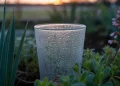 Comment fabriquer un récupérateur d’humidité nocturne pour potager : guide complet