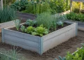 Bac de potager surélevé en béton banché sur plots : guide de construction étape par étape